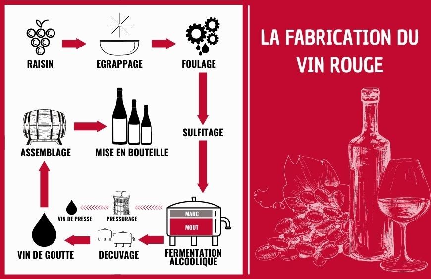 La fabrication du vin rouge